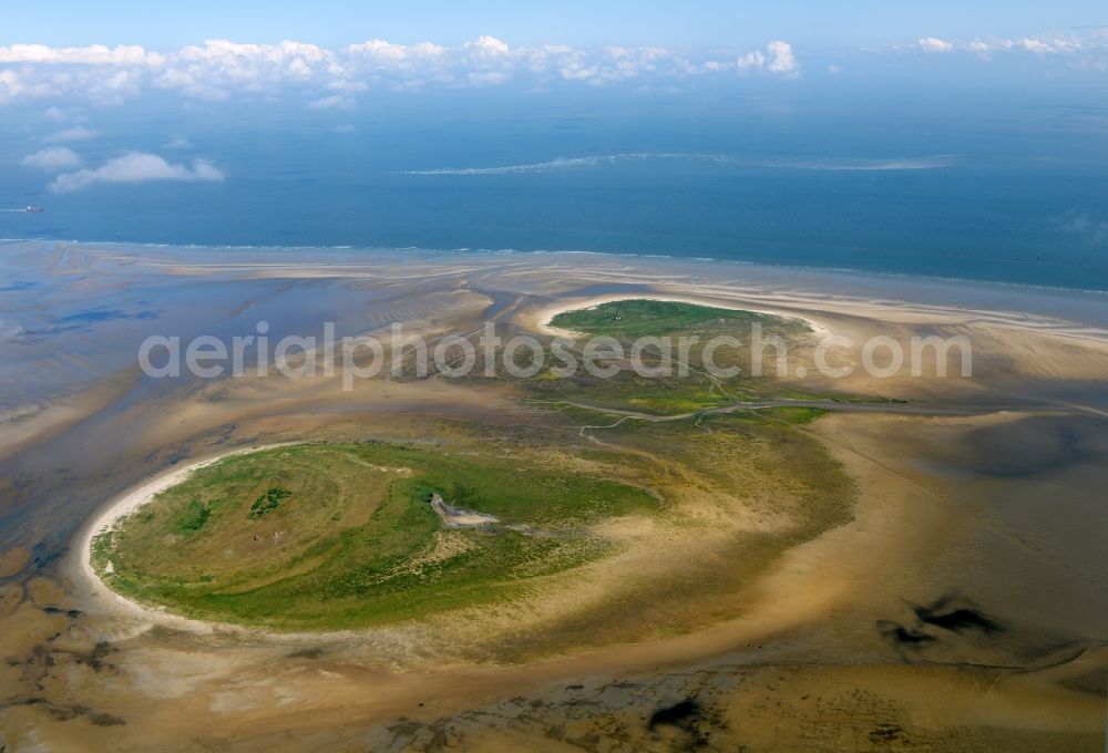 Nigehörn from above - North Sea coastal region of the conservation reserve and bird sanctuary - island in Nigehoern in state of Hamburg