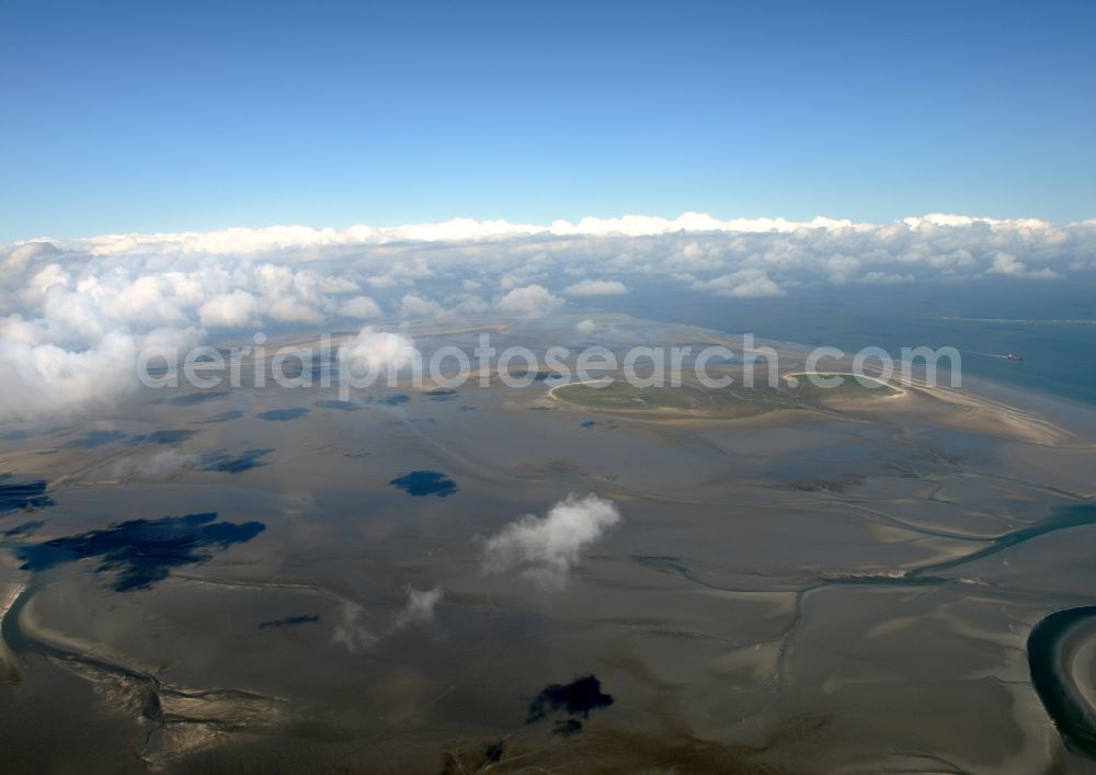 Aerial image Nigehörn - North Sea coastal region of the conservation reserve and bird sanctuary - island in Nigehoern in state of Hamburg