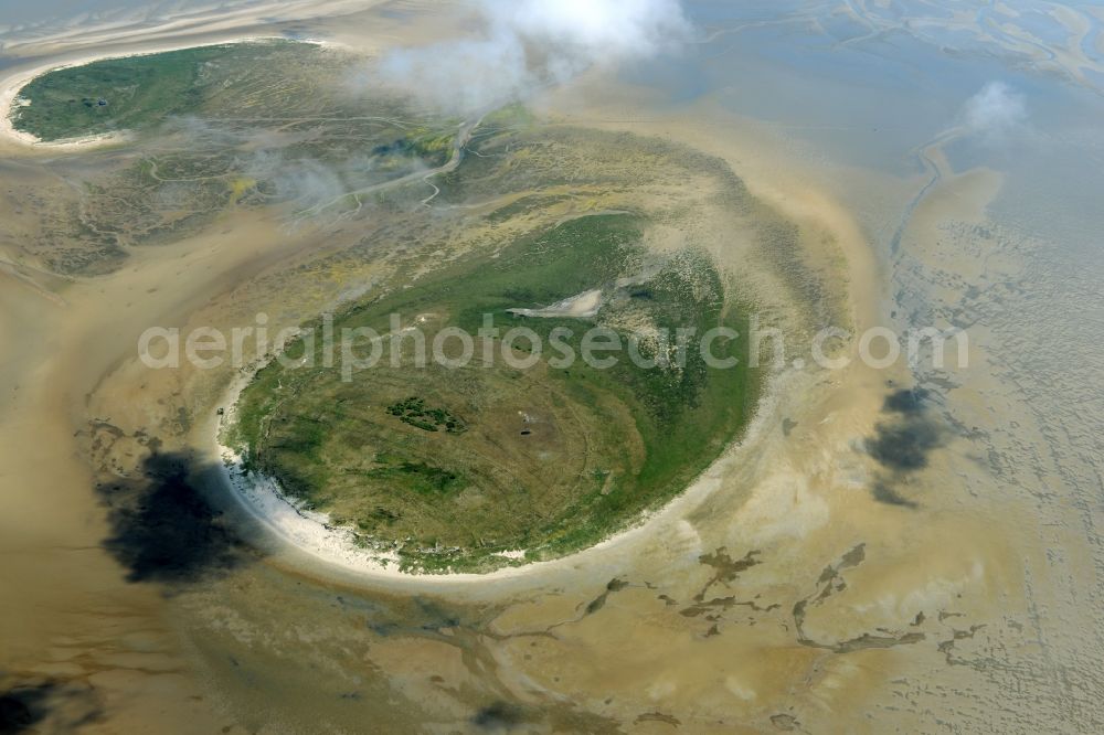 Aerial photograph Nigehörn - North Sea coastal region of the conservation reserve and bird sanctuary - island in Nigehoern in state of Hamburg