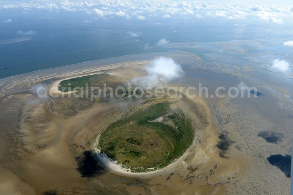 Nigehörn from above - North Sea coastal region of the conservation reserve and bird sanctuary - island in Nigehoern in state of Hamburg