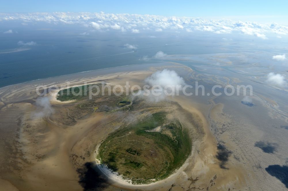 Nigehörn from the bird's eye view: North Sea coastal region of the conservation reserve and bird sanctuary - island in Nigehoern in state of Hamburg