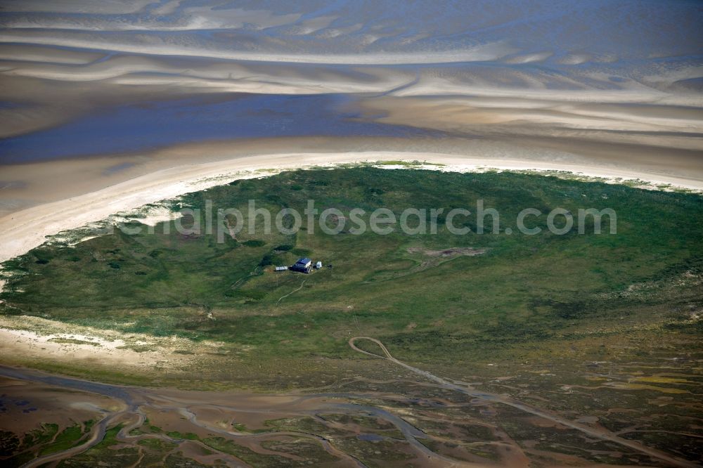 Aerial photograph Nigehörn - North Sea coastal region of the conservation reserve and bird sanctuary - island in Nigehoern in state of Hamburg