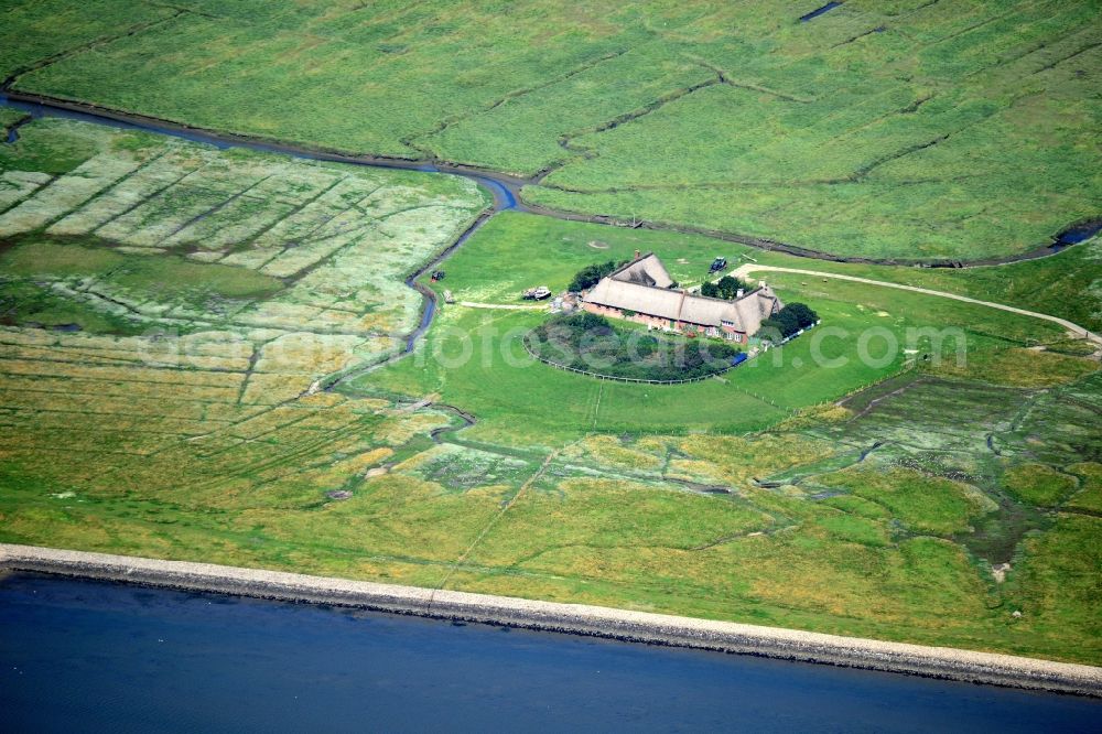 Pellworm from above - Coastal area of the North Sea Hallig Suederoog - Island in Pellworm in the state Schleswig-Holstein