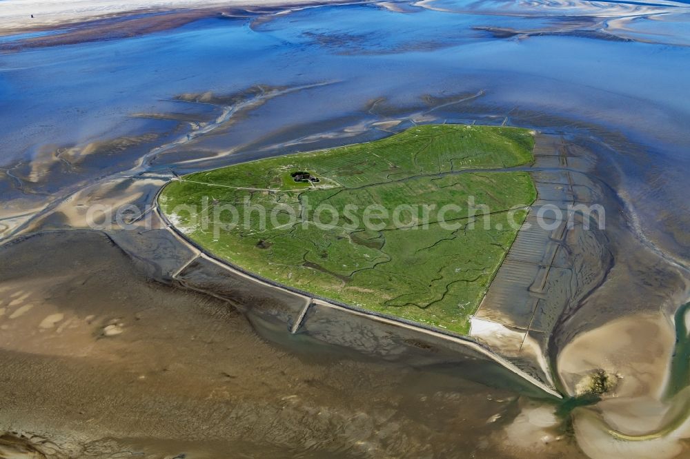 Pellworm from the bird's eye view: Coastal area of the North Sea Hallig Suederoog - Island in Pellworm in the state Schleswig-Holstein