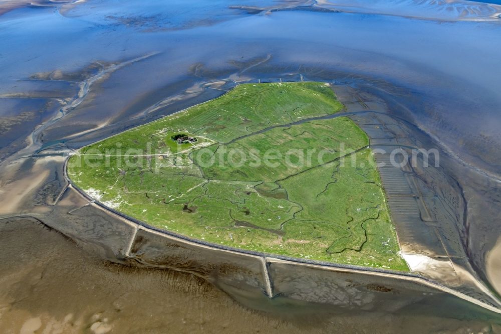 Aerial image Pellworm - Coastal area of the North Sea Hallig Suederoog - Island in Pellworm in the state Schleswig-Holstein