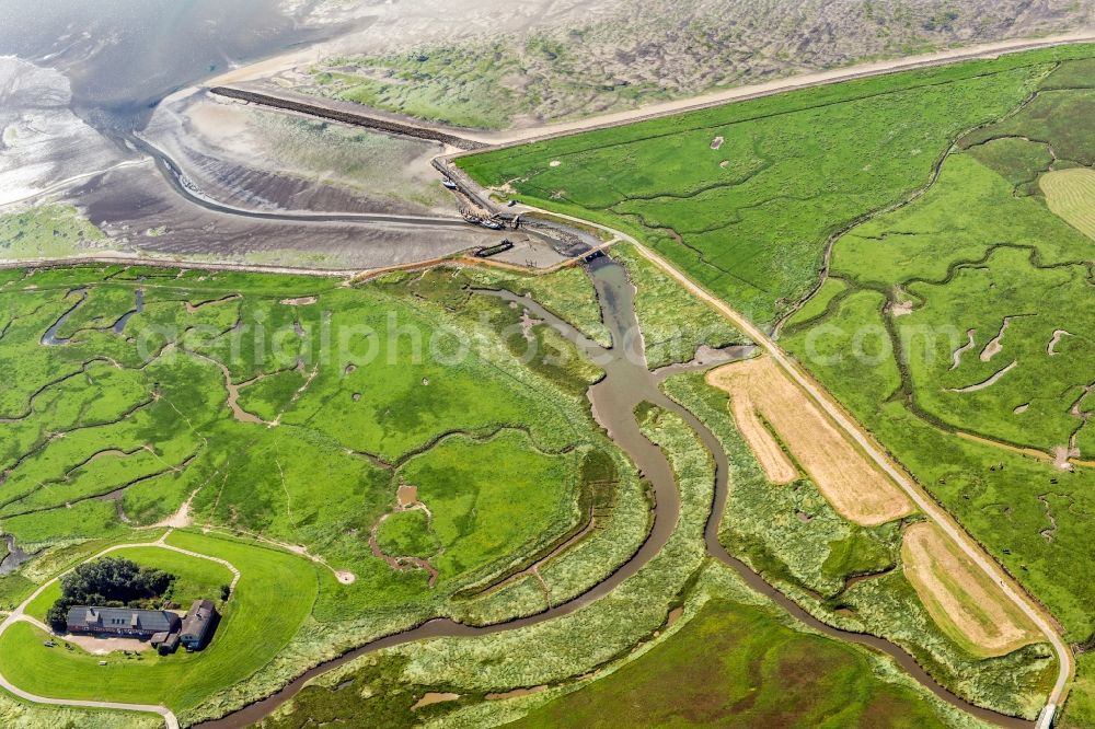 Langeneß from the bird's eye view: Coastal area of the North Sea- Island in Langeness in the state Schleswig-Holstein