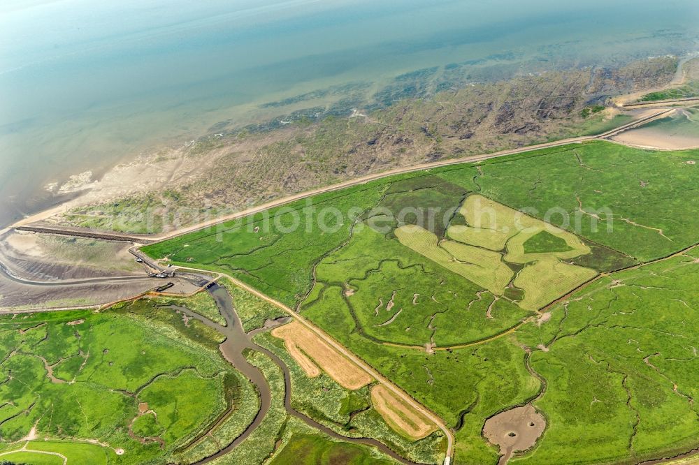 Aerial image Langeneß - Coastal area of the North Sea- Island in Langeness in the state Schleswig-Holstein