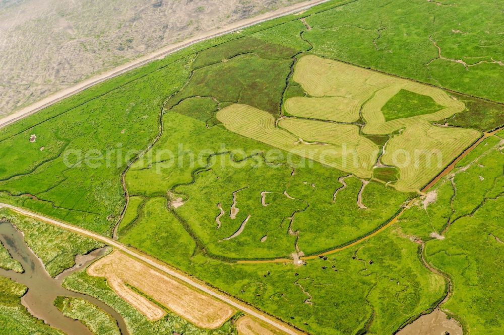 Aerial photograph Langeneß - Coastal area of the North Sea- Island in Langeness in the state Schleswig-Holstein