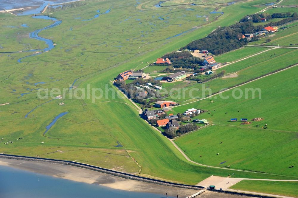 Insel Neuwerk from the bird's eye view: Coastal area of North Sea - Island in Insel Neuwerk in the state Lower Saxony, Germany