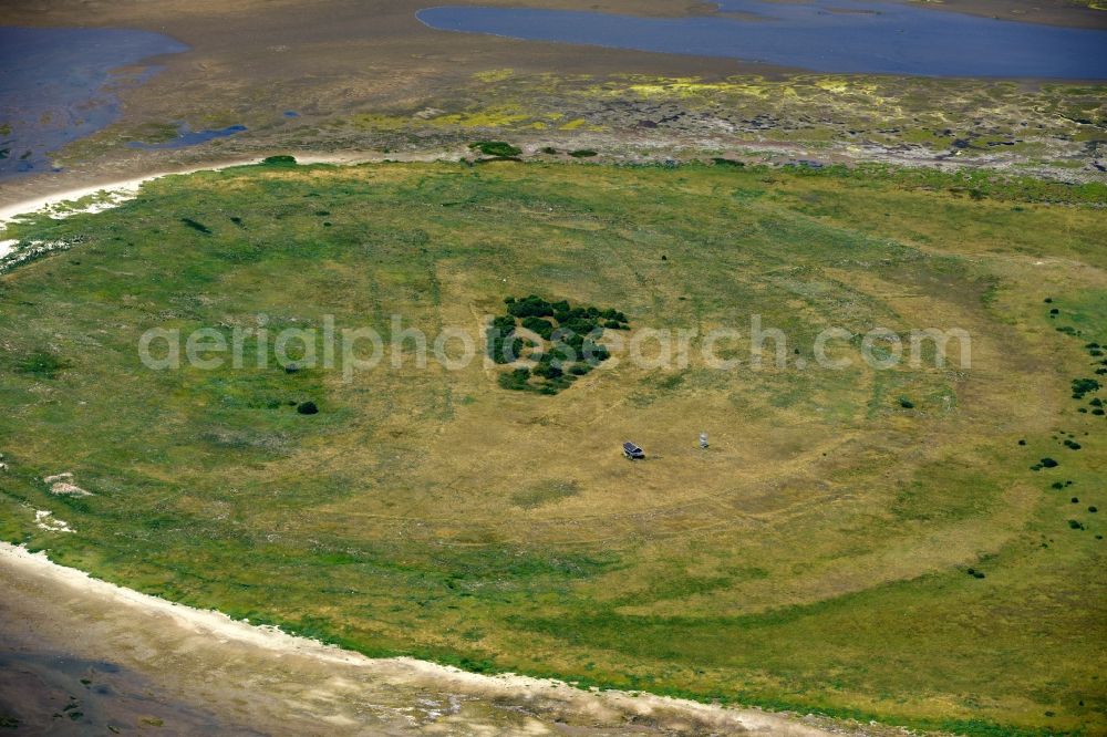 Aerial image Nigehörn - Coastal area of the North Sea - Island in Nigehoern in the state Hamburg