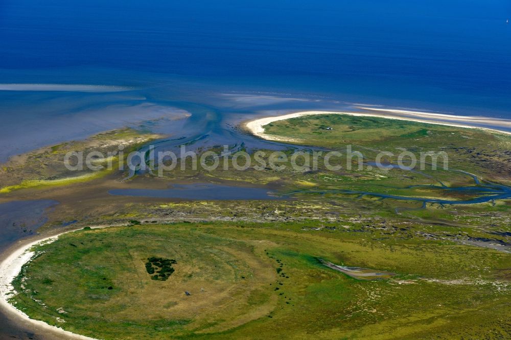 Nigehörn from the bird's eye view: Coastal area of the North Sea - Island in Nigehoern in the state Hamburg