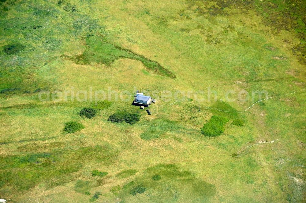 Aerial image Nigehörn - Coastal area of the North Sea - Island in Nigehoern in the state Hamburg