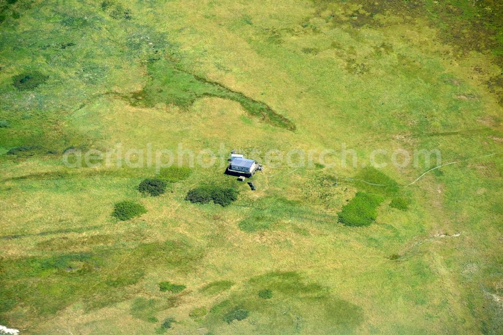 Aerial photograph Nigehörn - Coastal area of the North Sea - Island in Nigehoern in the state Hamburg