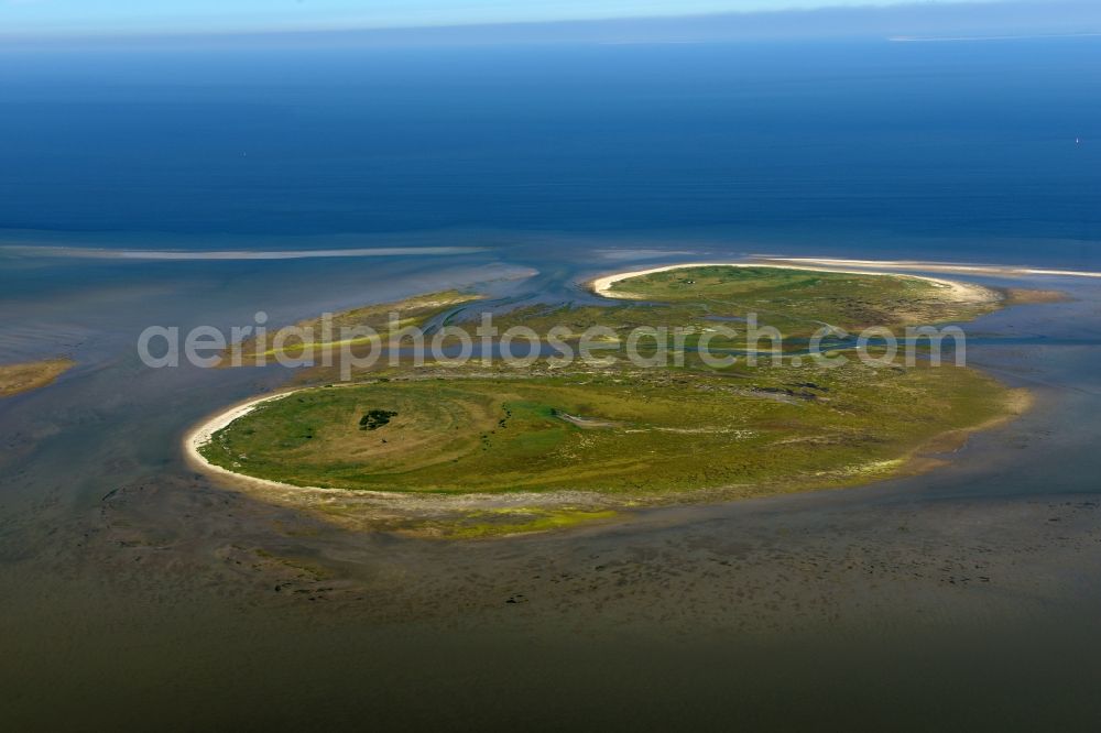 Aerial image Nigehörn - Coastal area of the North Sea - Island in Nigehoern in the state Hamburg