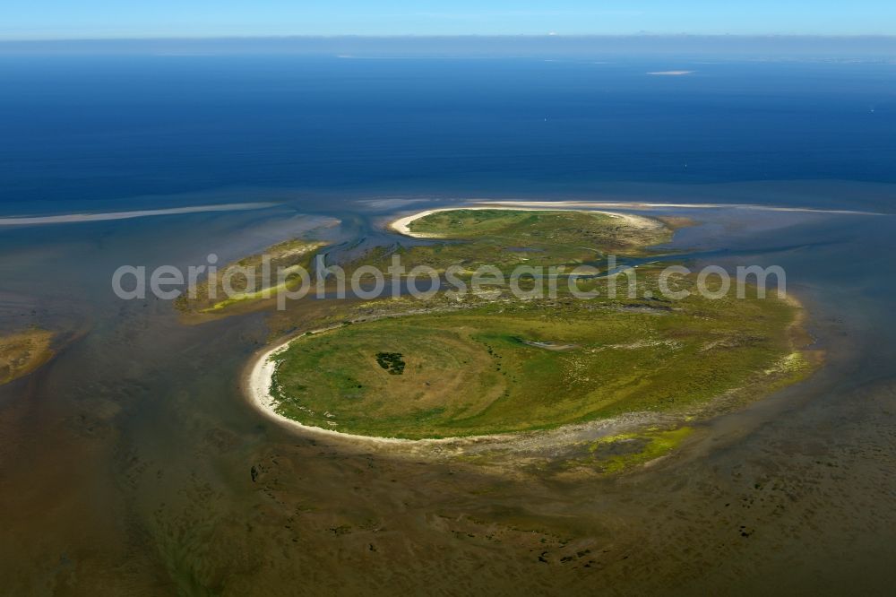 Aerial photograph Nigehörn - Coastal area of the North Sea - Island in Nigehoern in the state Hamburg