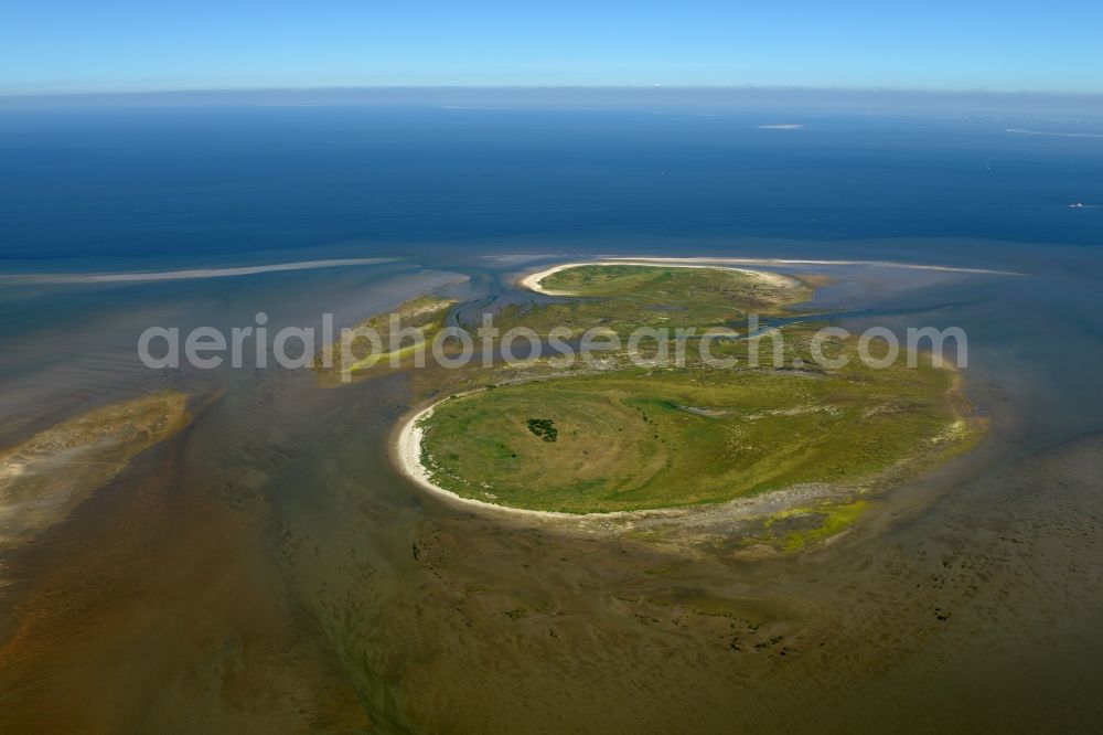 Nigehörn from above - Coastal area of the North Sea - Island in Nigehoern in the state Hamburg