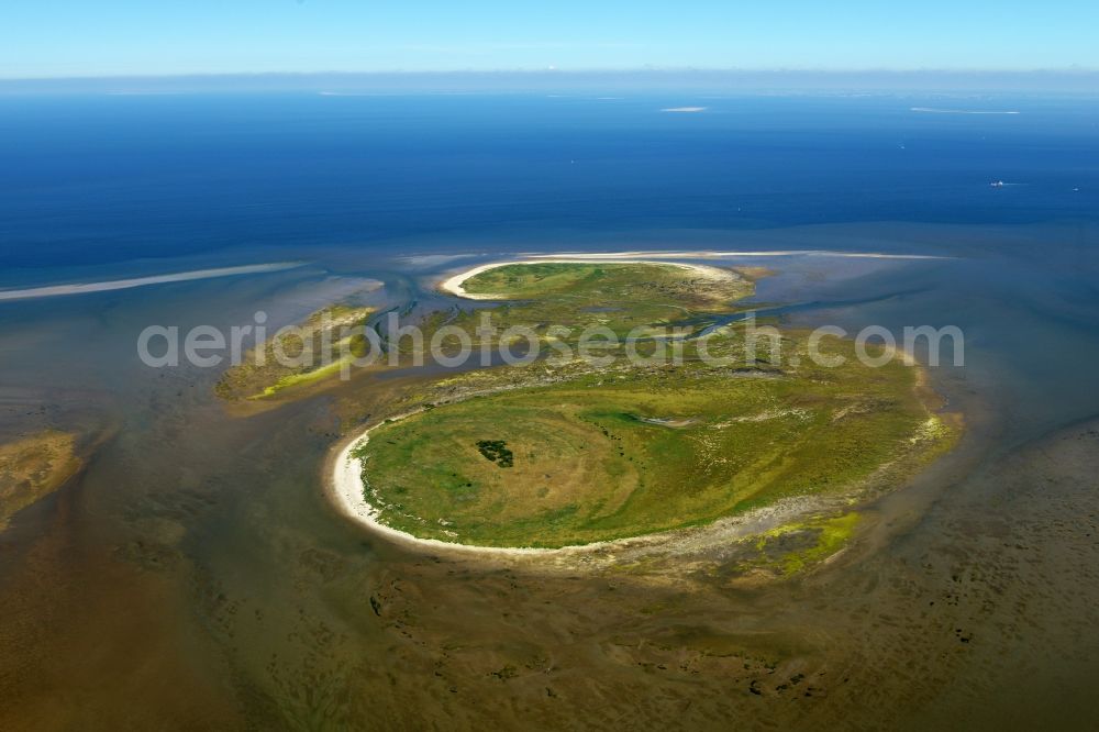 Nigehörn from the bird's eye view: Coastal area of the North Sea - Island in Nigehoern in the state Hamburg