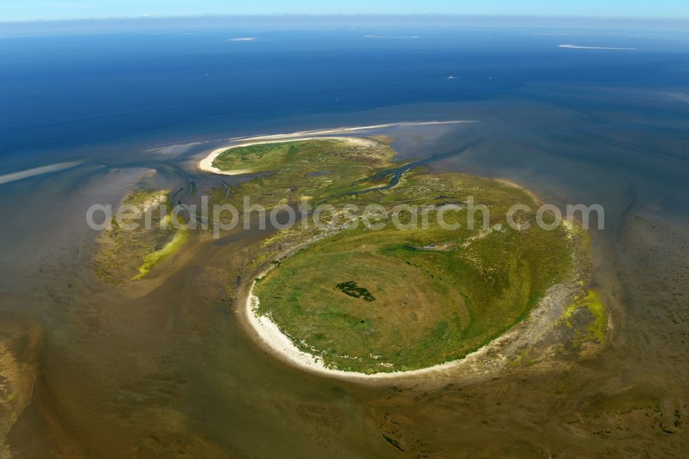 Aerial image Nigehörn - Coastal area of the North Sea - Island in Nigehoern in the state Hamburg