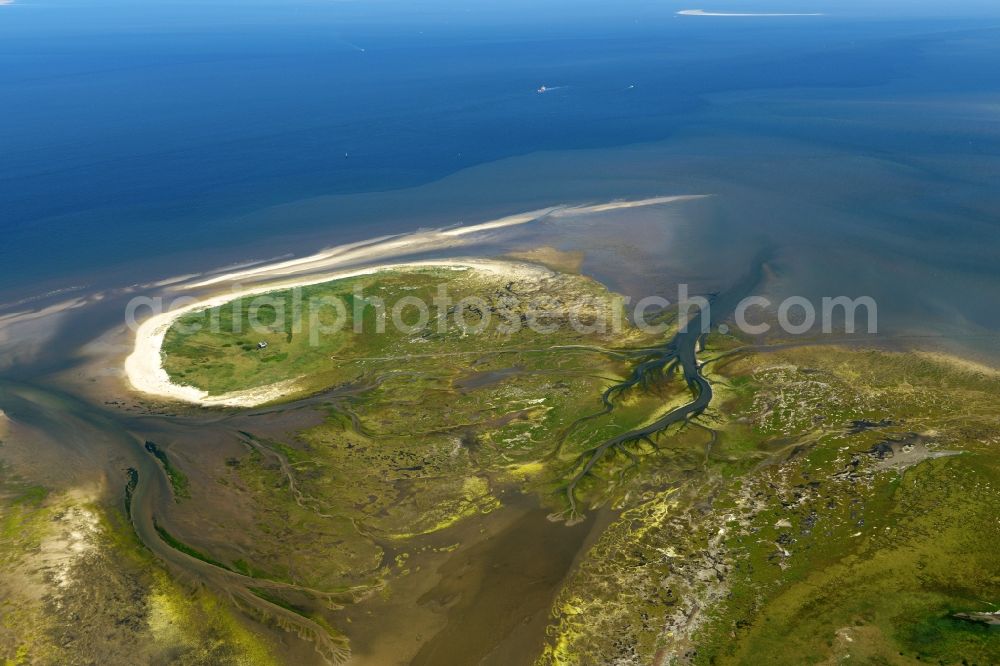 Nigehörn from above - Coastal area of the North Sea - Island in Nigehoern in the state Hamburg