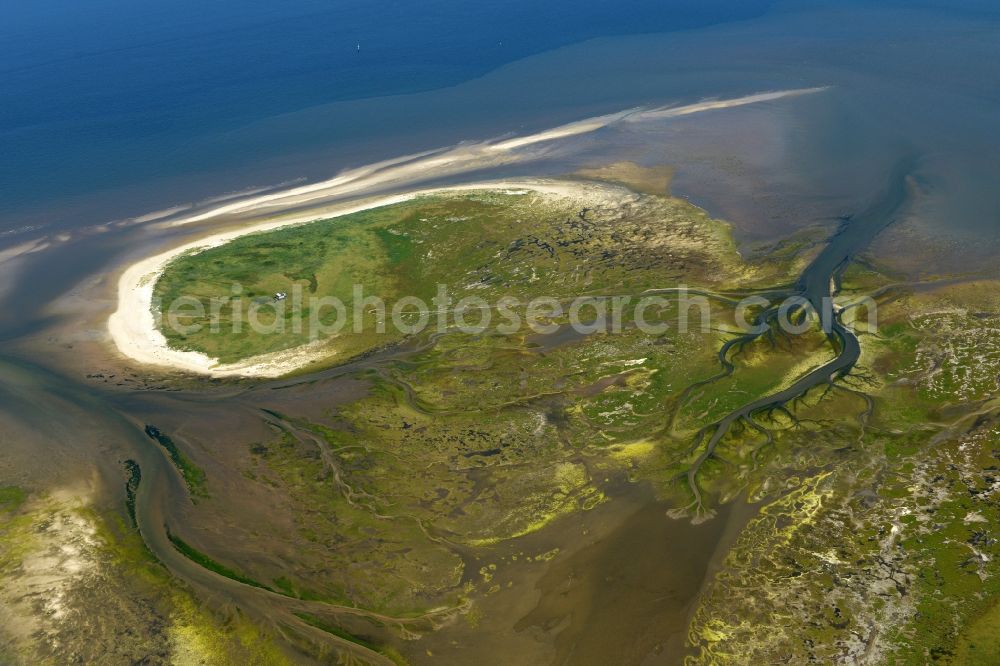 Nigehörn from the bird's eye view: Coastal area of the North Sea - Island in Nigehoern in the state Hamburg