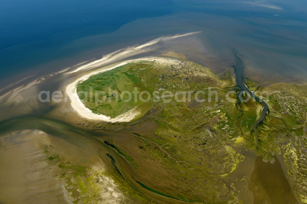 Aerial image Nigehörn - Coastal area of the North Sea - Island in Nigehoern in the state Hamburg