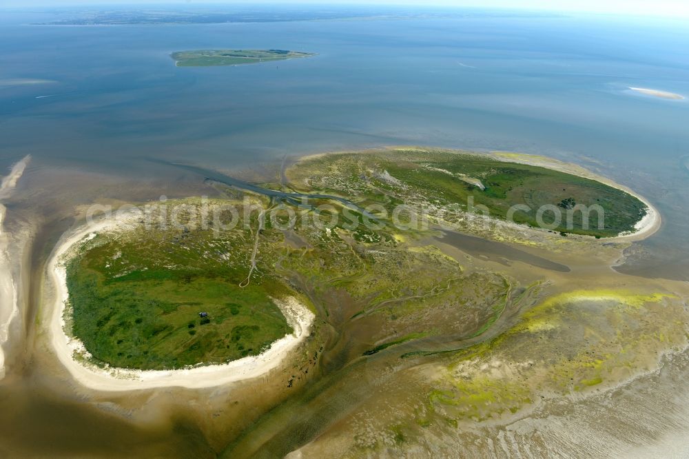 Nigehörn from above - Coastal area of the North Sea - Island in Nigehoern in the state Hamburg