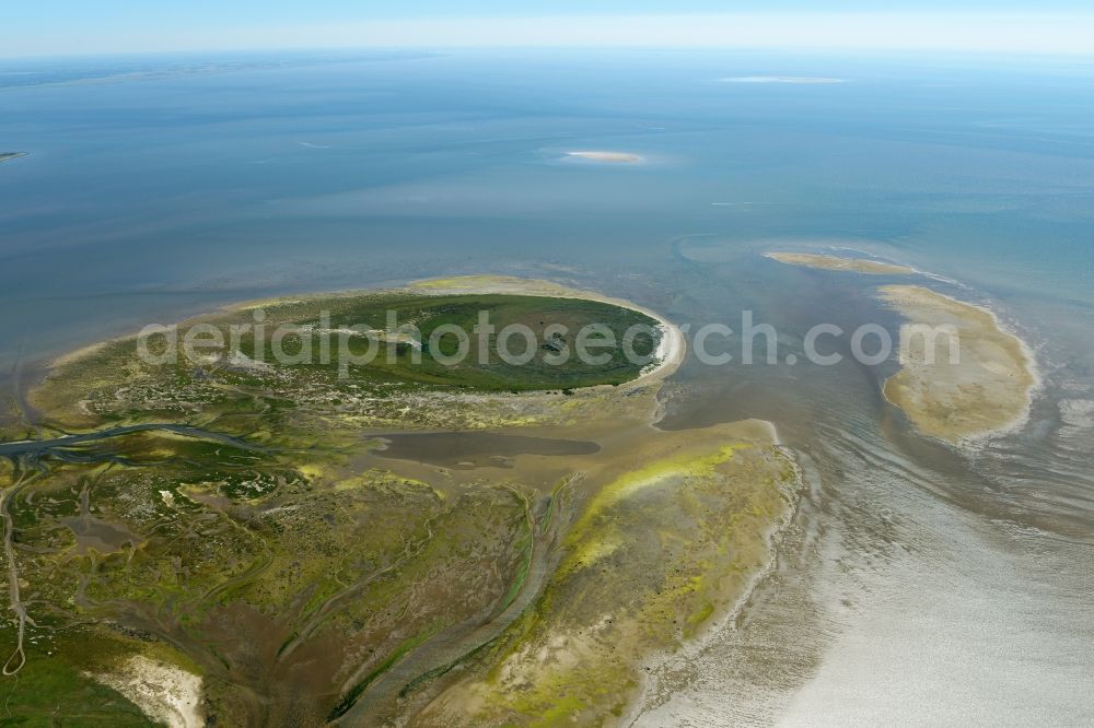 Aerial image Nigehörn - Coastal area of the North Sea - Island in Nigehoern in the state Hamburg