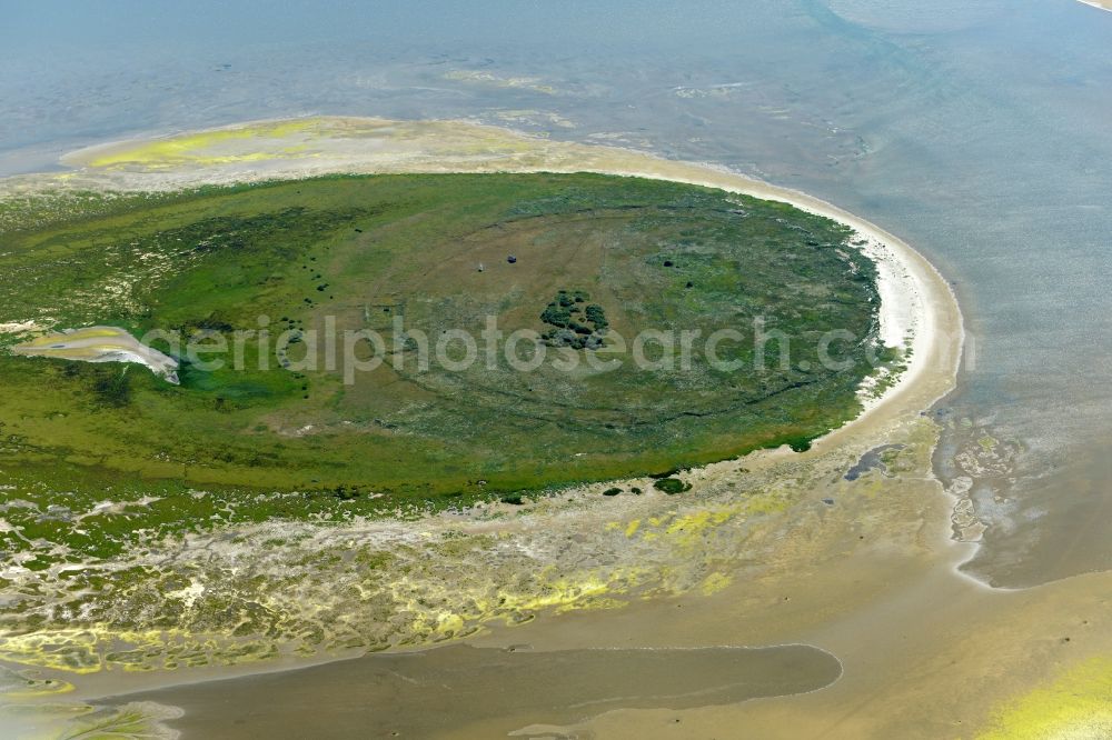 Aerial photograph Nigehörn - Coastal area of the North Sea - Island in Nigehoern in the state Hamburg