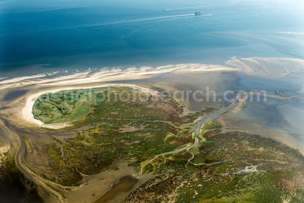 Nigehörn from the bird's eye view: Coastal area of the North Sea - Island in Nigehoern in the state Hamburg