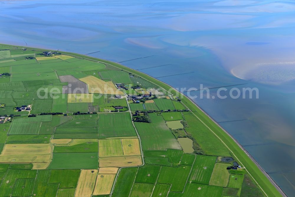 Aerial photograph Pellworm - Coastal area of the North Sea - Island in Pellworm in the state Schleswig-Holstein