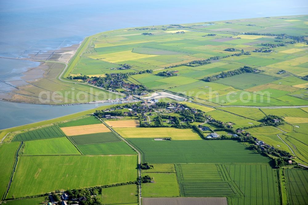 Pellworm from above - Coastal area of the North Sea - Island in Pellworm in the state Schleswig-Holstein