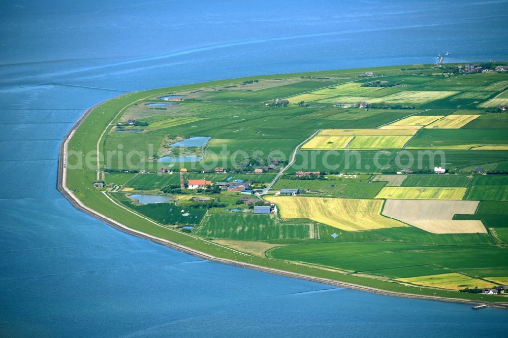 Pellworm from the bird's eye view: Coastal area of the North Sea - Island in Pellworm in the state Schleswig-Holstein