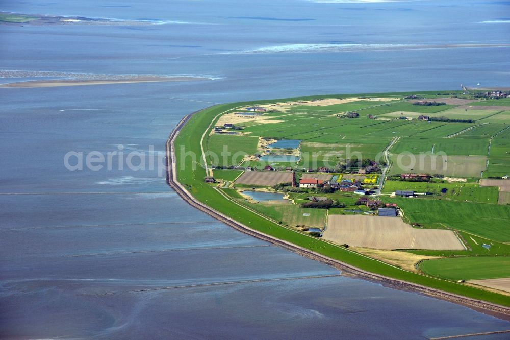 Pellworm from above - Coastal area of the North Sea - Island in Pellworm in the state Schleswig-Holstein