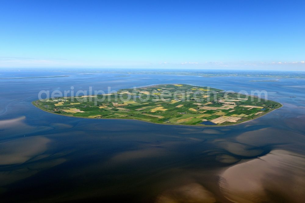 Pellworm from above - Coastal area of the North Sea - Island in Pellworm in the state Schleswig-Holstein