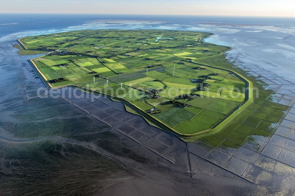 Aerial photograph Pellworm - Coastal area of the North Sea - Island in Pellworm in the state Schleswig-Holstein