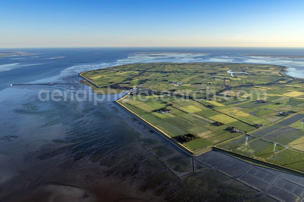 Pellworm from above - Coastal area of the North Sea - Island in Pellworm in the state Schleswig-Holstein