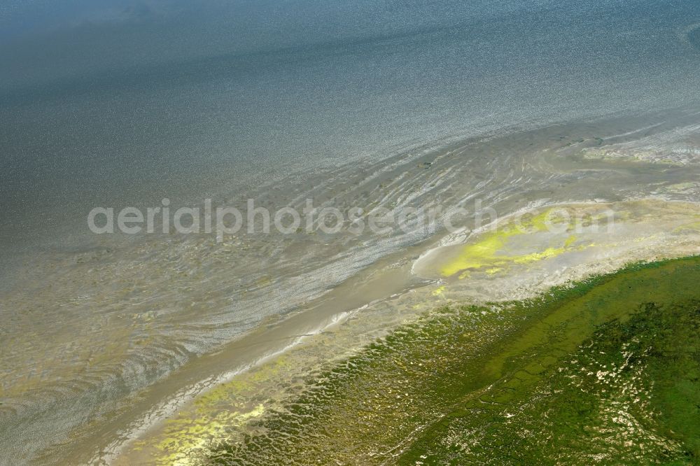 Aerial photograph Scharhörn - Coastal area of the North Sea - Island in Scharhoern in the state Hamburg