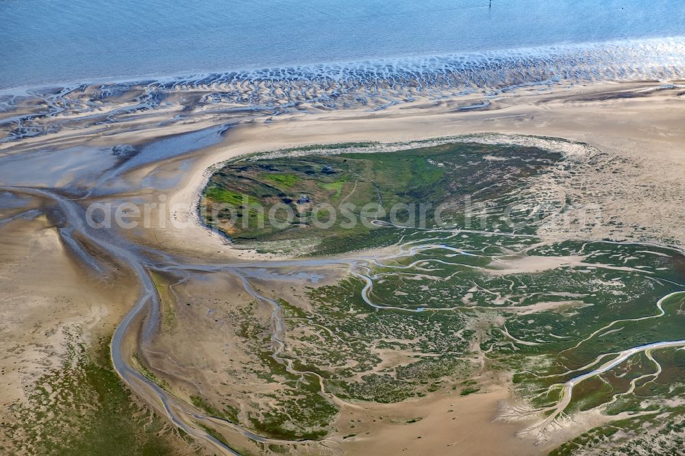 Aerial photograph Nigehörn - Coastal area of the North Sea - Island in Scharhoern in the state Hamburg