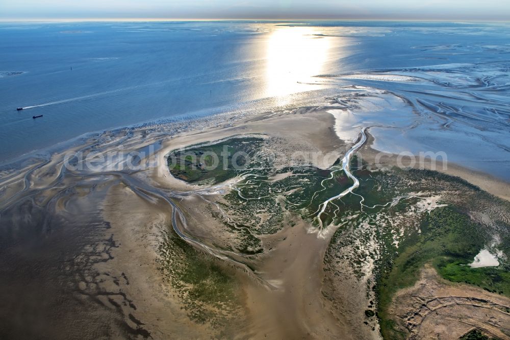 Aerial photograph Nigehörn - Coastal area of the North Sea - Island in Scharhoern in the state Hamburg