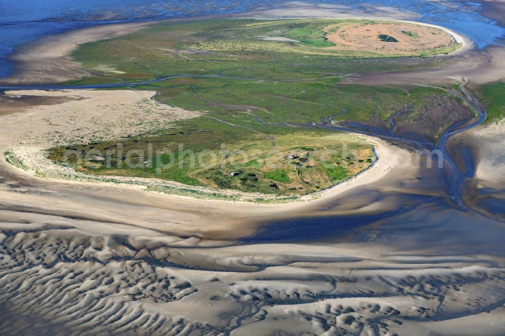 Nigehörn from above - Coastal area of the North Sea - Island in Scharhoern in the state Hamburg