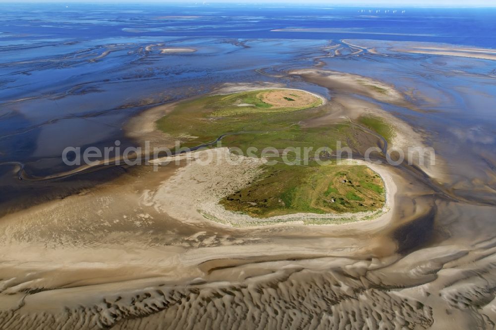 Nigehörn from the bird's eye view: Coastal area of the North Sea - Island in Scharhoern in the state Hamburg