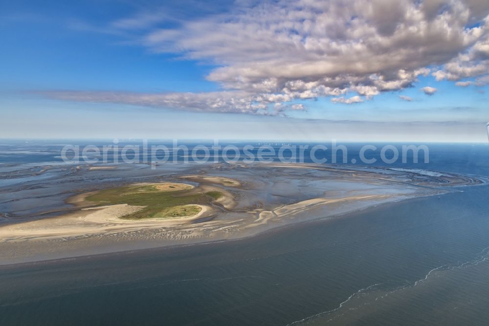 Aerial image Nigehörn - Coastal area of the North Sea - Island in Scharhoern in the state Hamburg