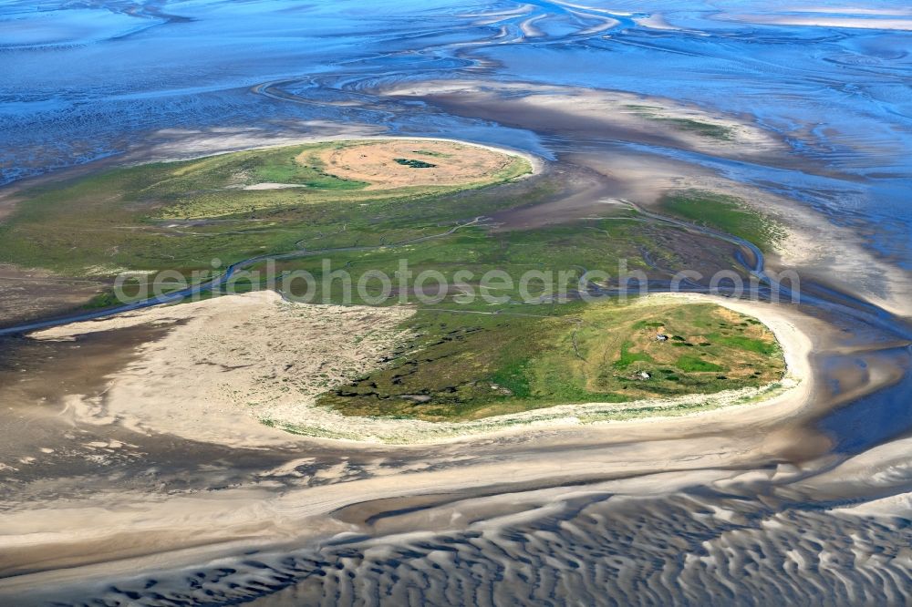 Nigehörn from the bird's eye view: Coastal area of the North Sea - Island in Scharhoern in the state Hamburg