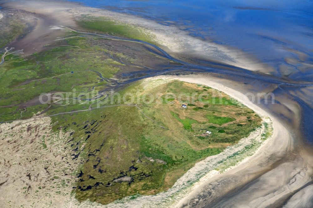 Nigehörn from the bird's eye view: Coastal area of the North Sea - Island in Scharhoern in the state Hamburg