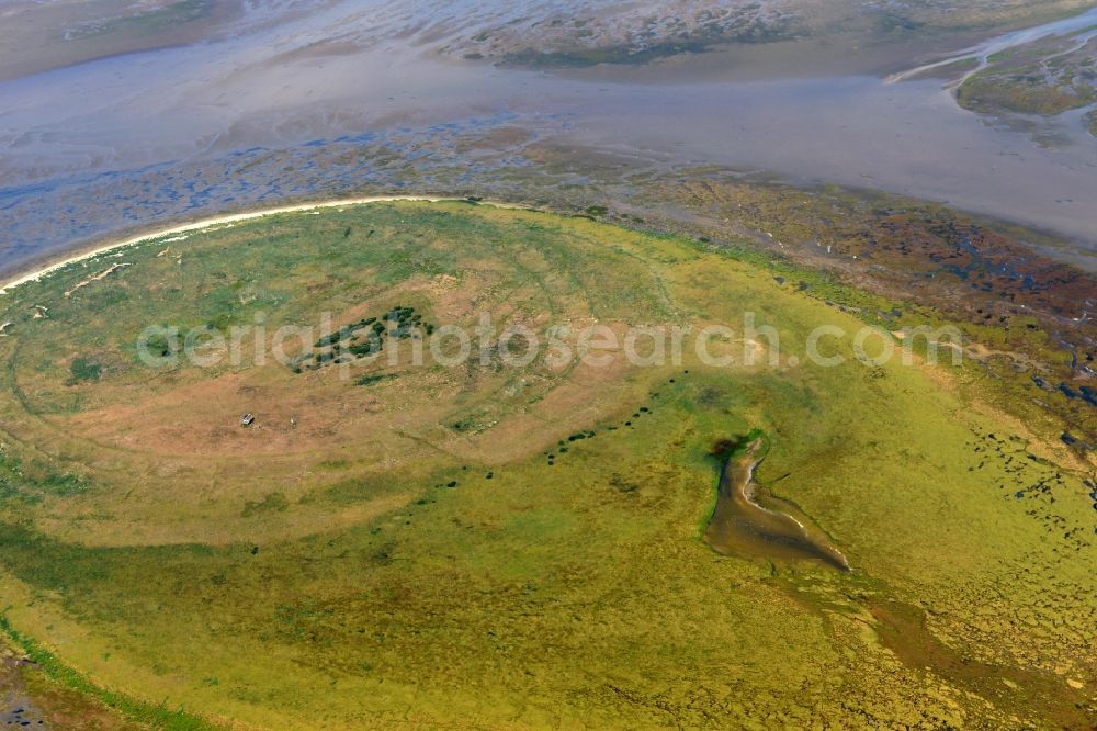 Scharhörn from above - Coastal area of the North Sea - Island Nigehoern and Scharhoern in Germany