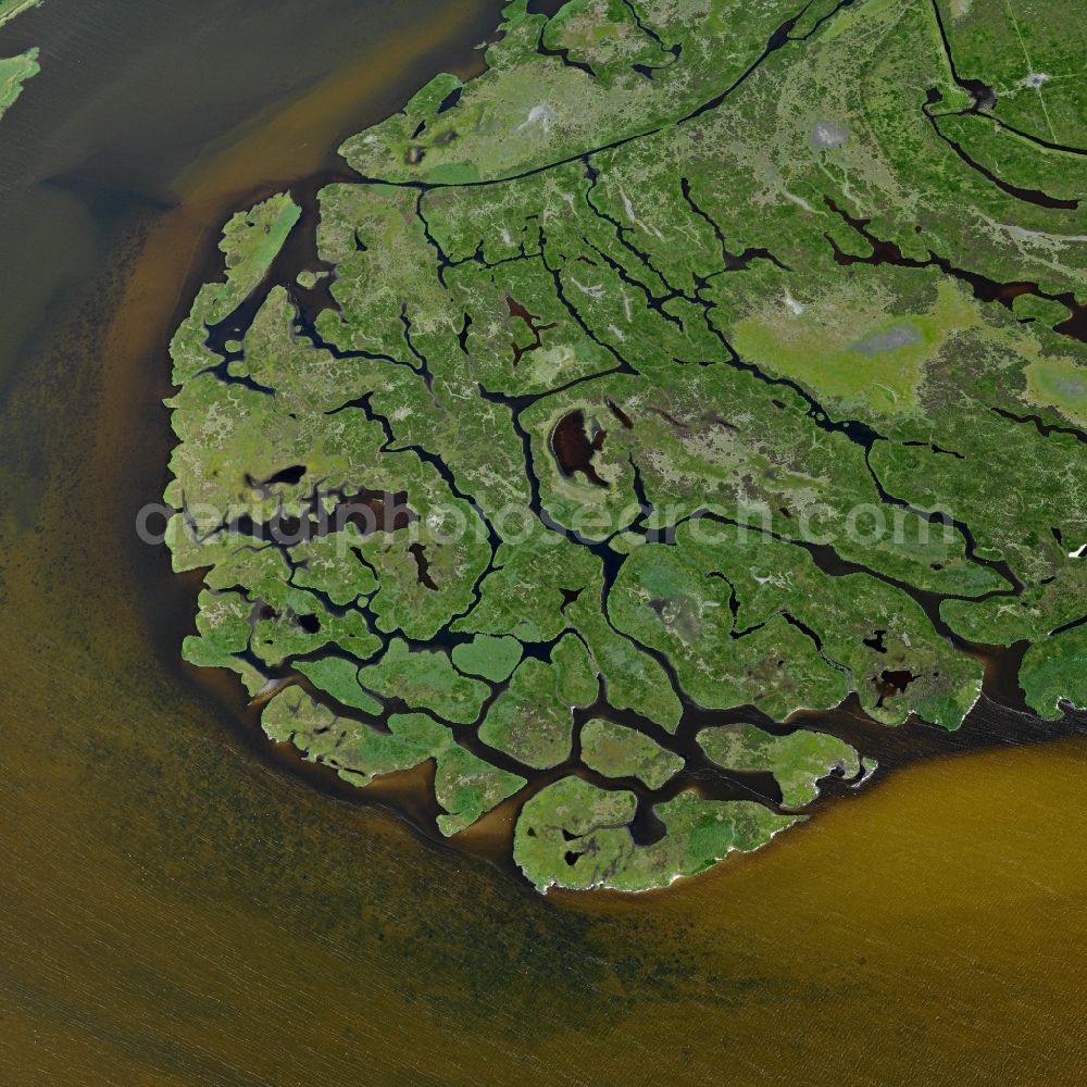 Großer Kirr from the bird's eye view: Coastal area of the Baltic Sea - Island Grosser Kirr in the state Mecklenburg - Western Pomerania