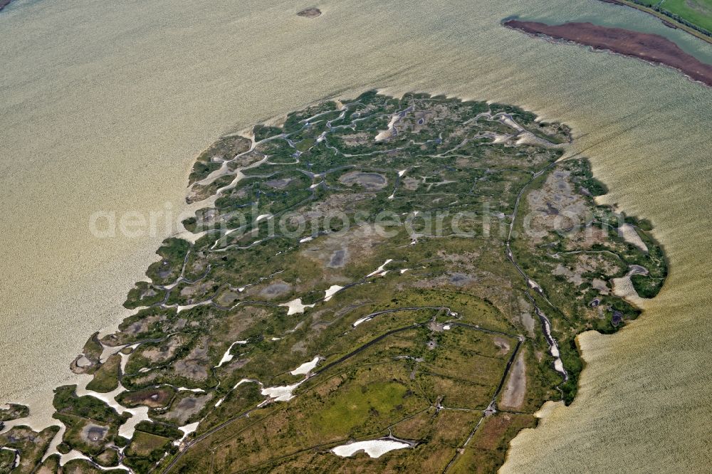 Aerial photograph Zingst - Coastal area of the Baltic Sea - Island Grosser Kirr in the state Mecklenburg - Western Pomerania