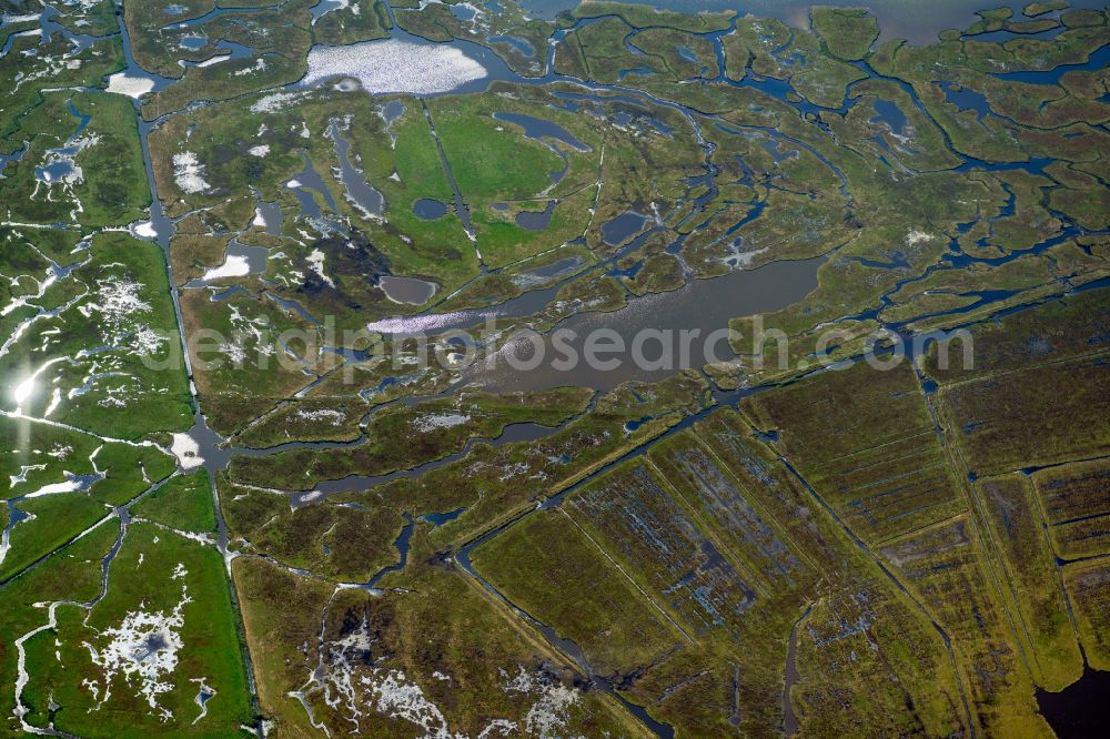 Aerial photograph Zingst - Coastal area of the Baltic Sea - Island Grosser Kirr in the state Mecklenburg - Western Pomerania