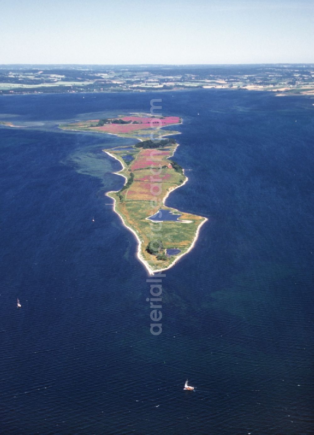 Aerial photograph Millinge - Coastal area of the Ostseeinsel Illum - Island in Millinge in Syddanmark, Denmark