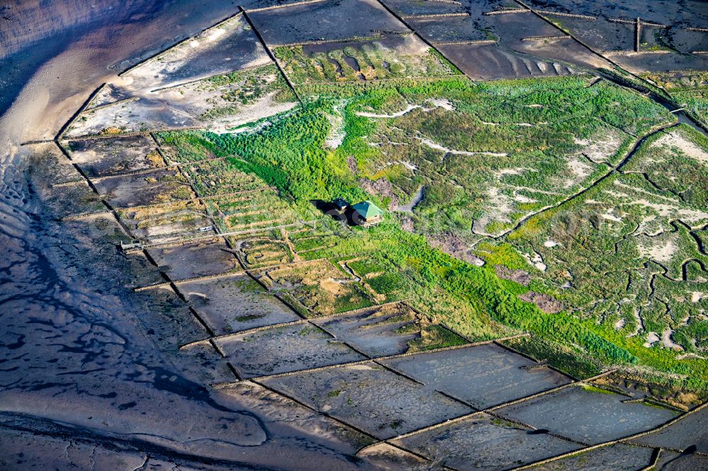 Norderoog from above - Coastal area and nature reserve of the Hallig Norderoog bird sanctuary in the state Schleswig-Holstein, Germany